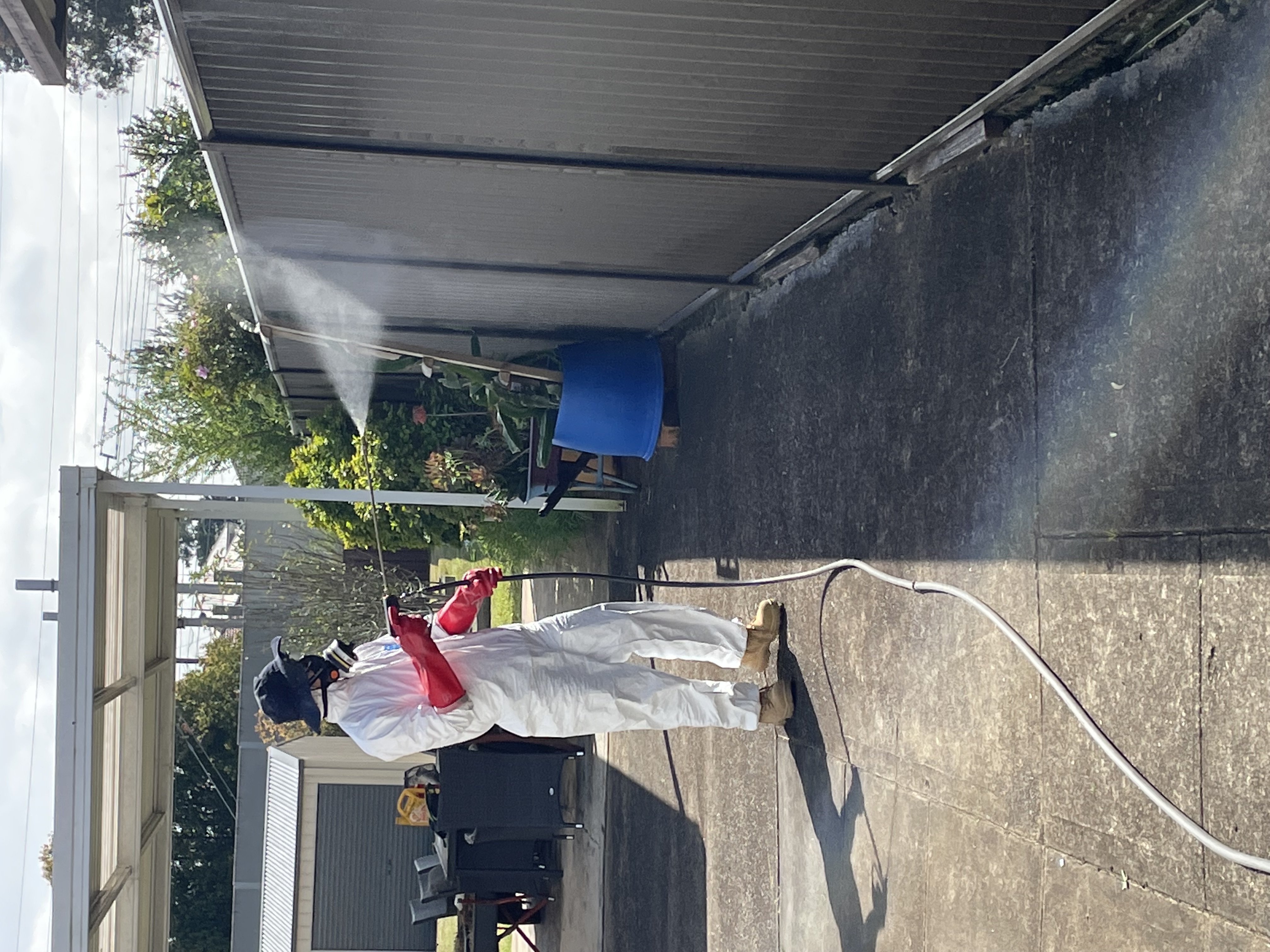 Pest control in Sydney CBD